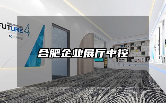 合肥企業展廳中控