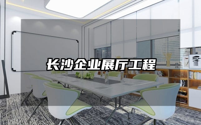 長(zhǎng)沙企業(yè)展廳工程