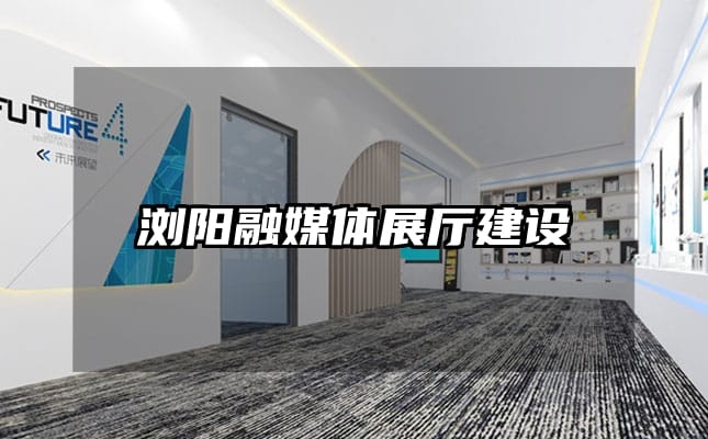 瀏陽融媒體展廳建設(shè)