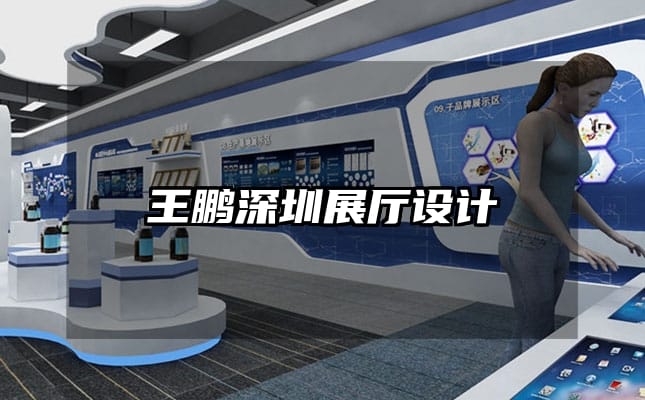 王鵬深圳展廳設計