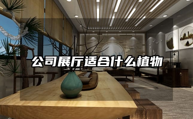 公司展廳適合什么植物