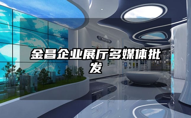 金昌企業展廳多媒體批發