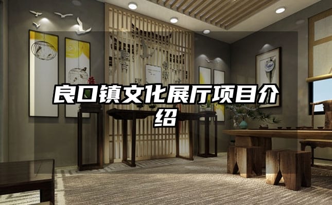 良口鎮(zhèn)文化展廳項目介紹