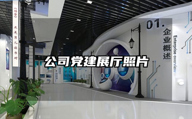 公司黨建展廳照片