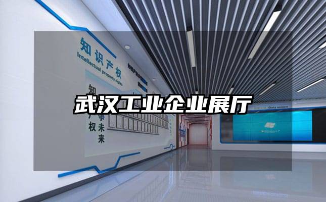 武漢工業(yè)企業(yè)展廳